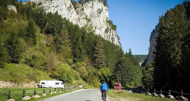 Cycliste profitant d'une balade pittoresque sur une route bordée d'arbres avec des falaises.