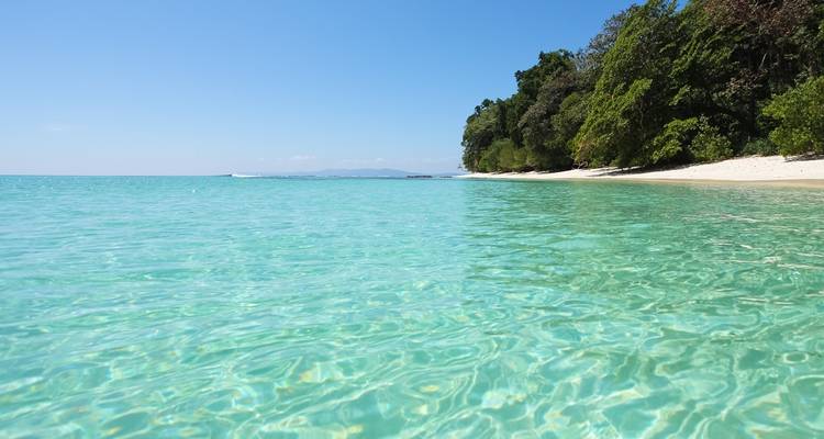 A serene beach with clear waters and lush greenery.