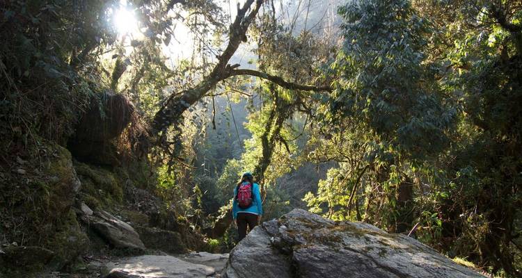 Découverte de l'Annapurna - OneSeed Expeditions 8