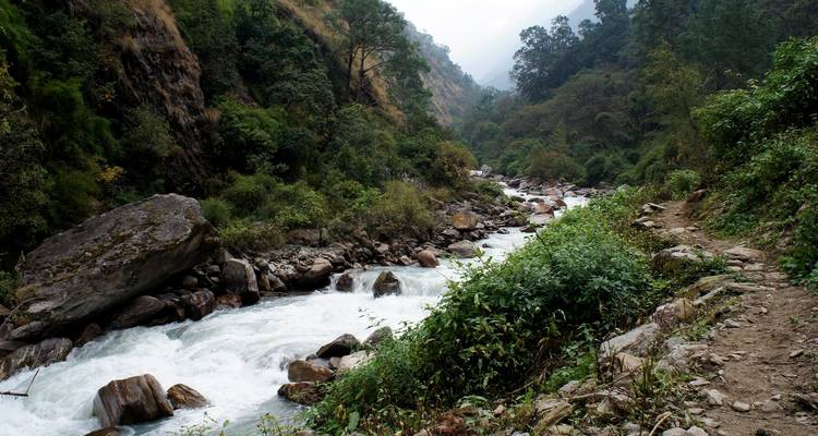 Viaje a Langtang - OneSeed Expeditions 4