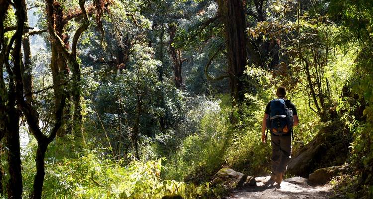 Viaje a Langtang - OneSeed Expeditions 10