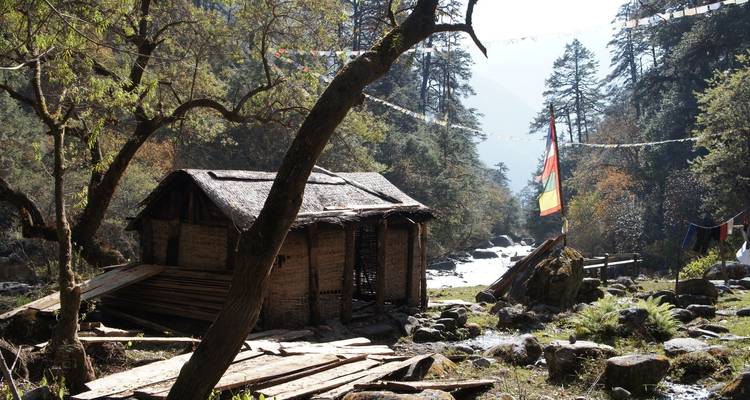 Viaje a Langtang - OneSeed Expeditions 7