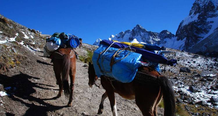 Machu Picchu definitivo - OneSeed Expeditions 10