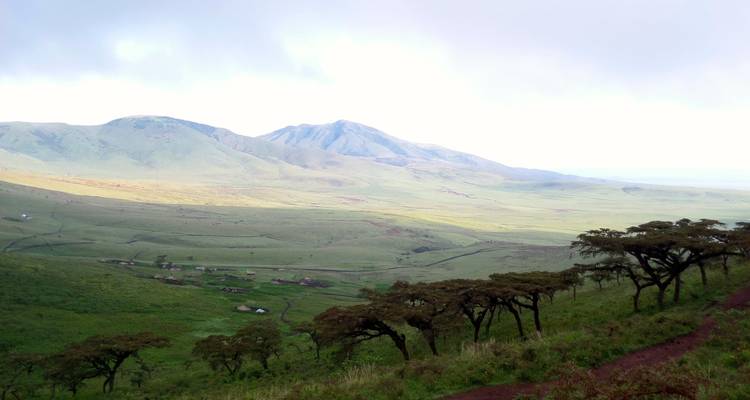 Kilimandjaro Marangu Summit and Camping Safari - OneSeed Expeditions 2