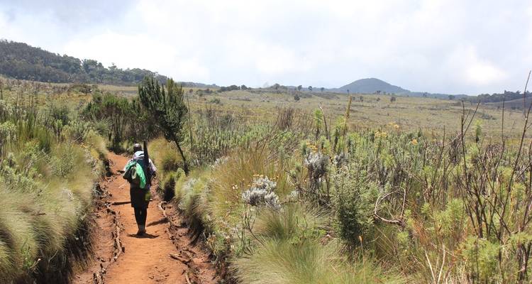 Kilimanjaro Marangu - OneSeed Expeditions 9