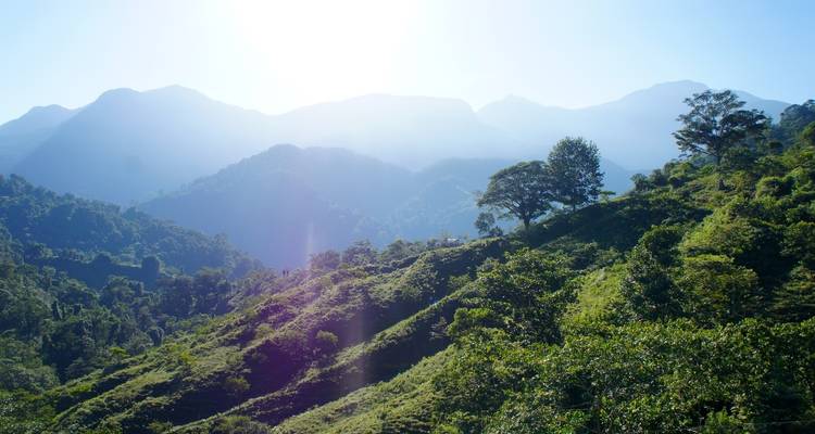 La Colombie cachée - Explorez Santa Marta, le parc national de Tayrona et partez en randonnée jusqu'à la "cité perdue". - OneSeed Expeditions 8