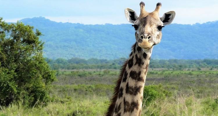 De Kruger a las cataratas Victoria en 7 días - alojamiento - Acacia Adventure Holidays 2
