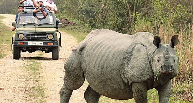 Tourists in a jeep observing a large rhino up close.