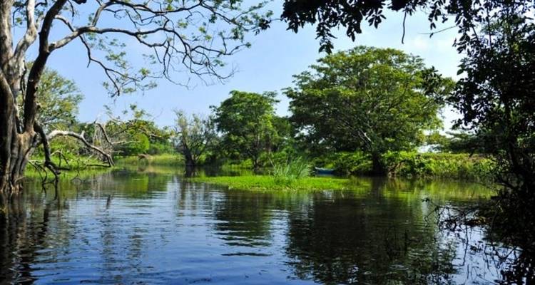 Aventura completa en Sri Lanka 14D/13N - Bamba Travel 7