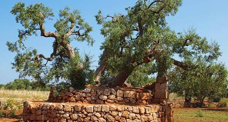 Les Pouilles : Découvrez le talon de l'Italie - Exodus Adventure Travels 7