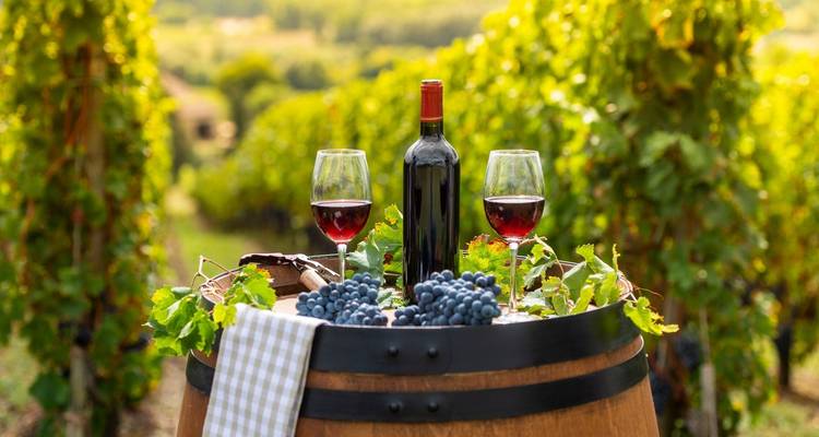 Aventure alimentaire en Sicile - Exodus Adventure Travels 4