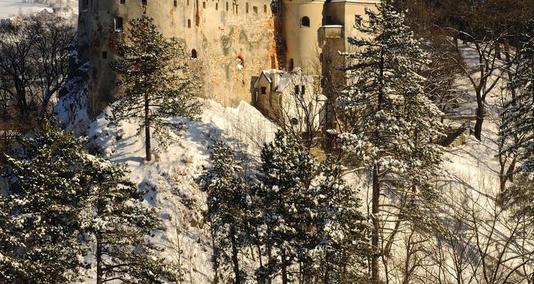 Historisch kasteel omringd door besneeuwde bomen.