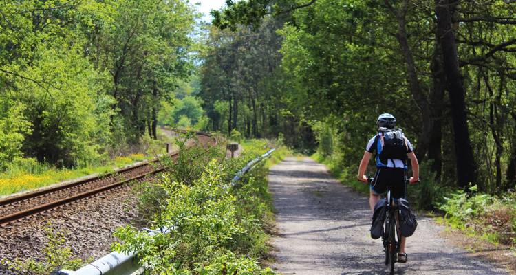 Cycliste roulant sur un chemin à côté d'une voie ferrée entourée d'arbres