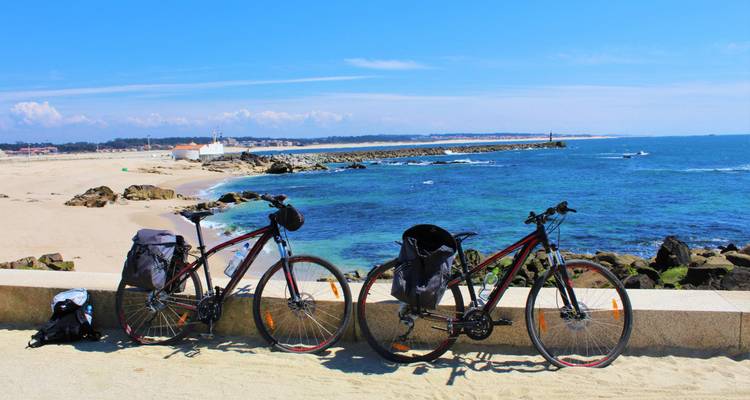 Deux vélos garés sur une plage de sable avec vue sur l'océan