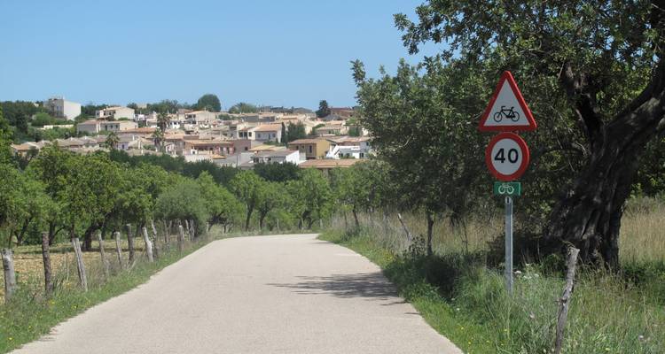 Trek auto- guidée de Majorque d'une côte à l'autre - Exodus Adventure Travels 7
