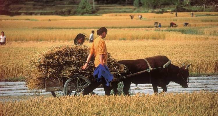 Ciclo Indochina y Angkor - aventura premium - Exodus Adventure Travels 4