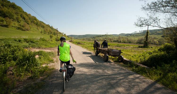 Cyclist passing a horse-drawn cart on a country road.