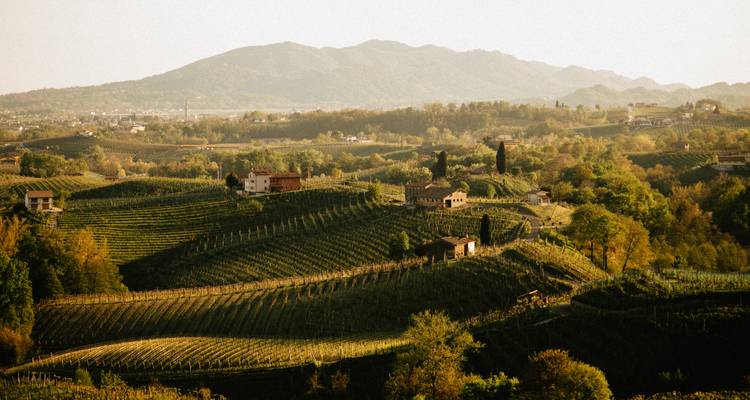 Walk The Prosecco Hills & Hidden Venice - Exodus Adventure Travels 2