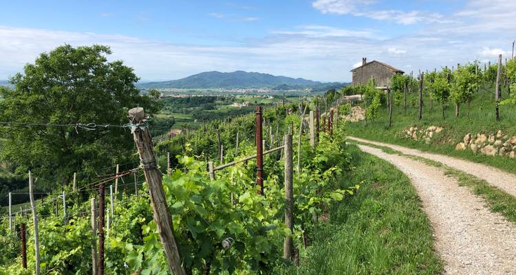 Walk The Prosecco Hills & Hidden Venice - Exodus Adventure Travels 10