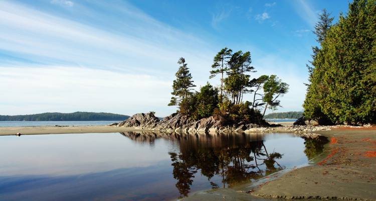 Plage isolée avec un affleurement rocheux et des arbres.