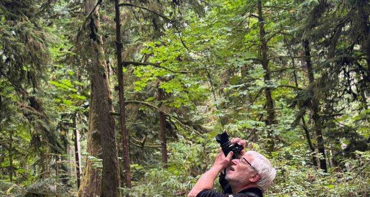 Mann mit Kamera, der in den dichten grünen Regenwald hinaufschaut und Wildlifefotografien aufnimmt.