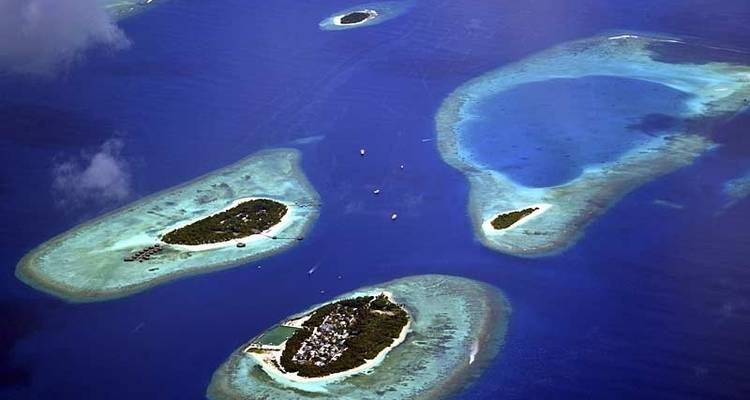 La faune marine des Maldives - Exodus Adventure Travels 8