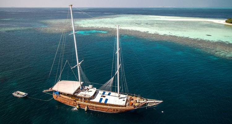 La faune marine des Maldives - Exodus Adventure Travels 1