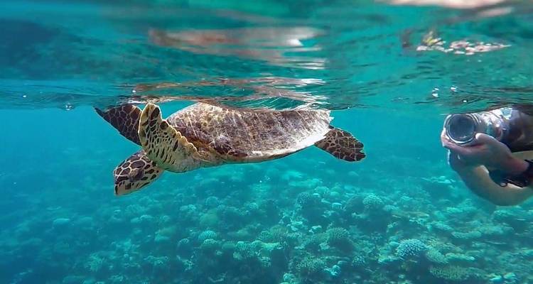 La faune marine des Maldives - Exodus Adventure Travels 5