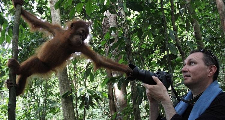 Primates et dragons d'Indonésie - Exodus Adventure Travels 9