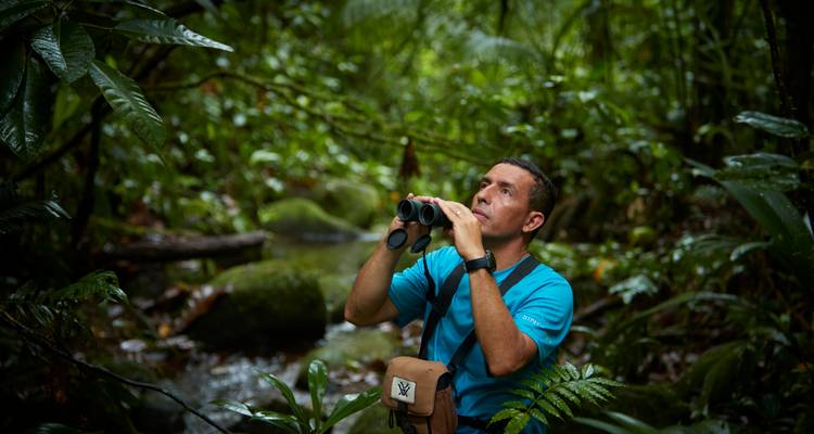 Hombre con camisa azul observando aves con binoculares en la densa selva verde junto a un arroyo.