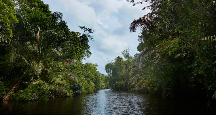Corredor de río estrecho bordeado por altos árboles de selva tropical bajo un cielo nublado.