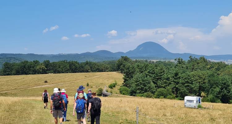 Wanderer überqueren eine offene Wiese mit Grasland und bewegen sich auf entfernte abgerundete Berge unter klarem Himmel in Rumänien zu.