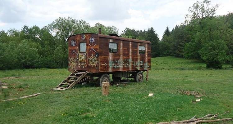 Marche et ours des Carpates - Exodus Adventure Travels 1
