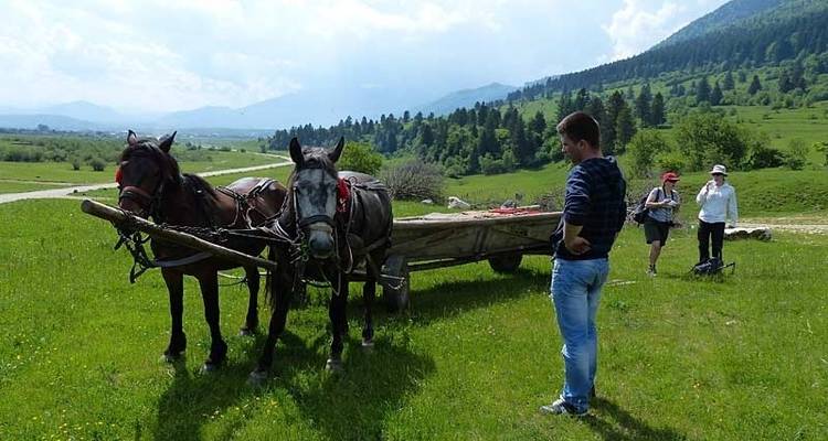 Marche et ours des Carpates - Exodus Adventure Travels 6