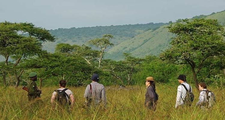 Gorilas y Masai Mara - Acampada - Exodus Adventure Travels 8