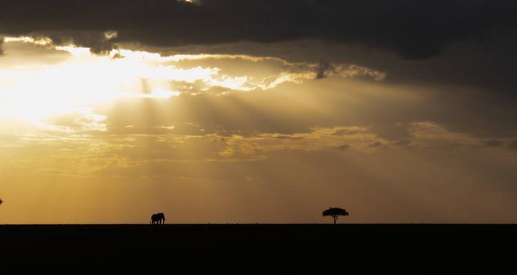 Gorilas y Masai Mara - Acampada - Exodus Adventure Travels 10