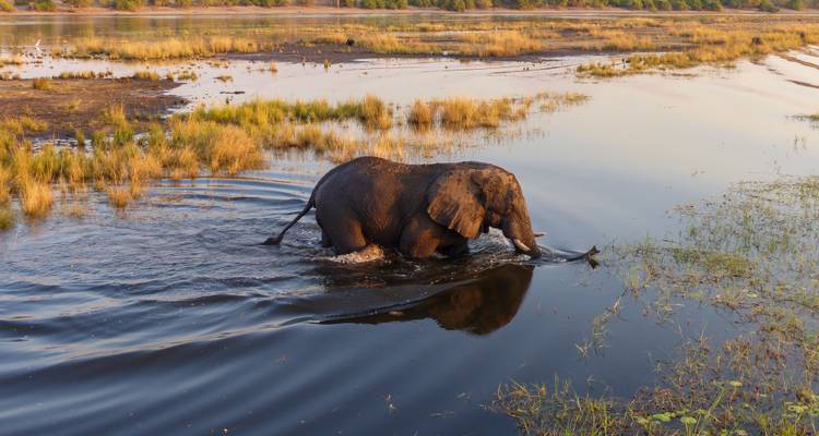 Safari en lodge au Botswana et au Zimbabwe - Exodus Adventure Travels 5