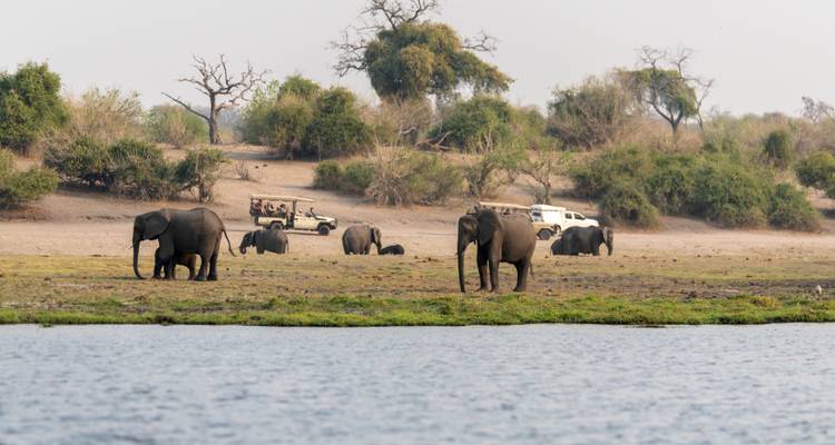 Safari en lodge au Botswana et au Zimbabwe - Exodus Adventure Travels 2