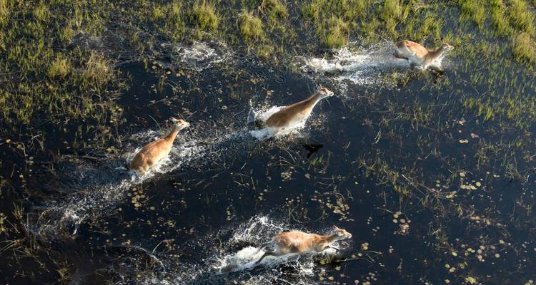 Safari en lodge au Botswana et au Zimbabwe - Exodus Adventure Travels 7