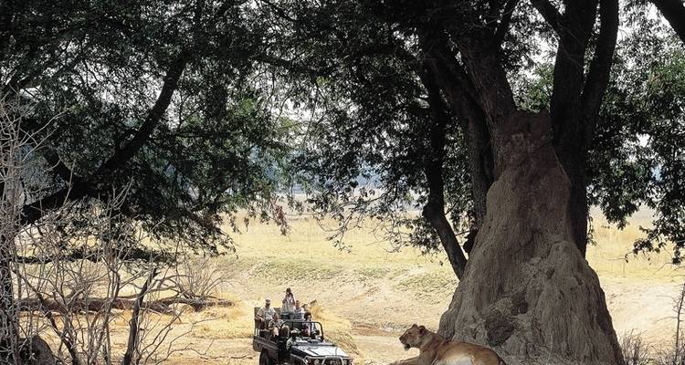 Faune et flore sauvages du Botswana - Exodus Adventure Travels 9
