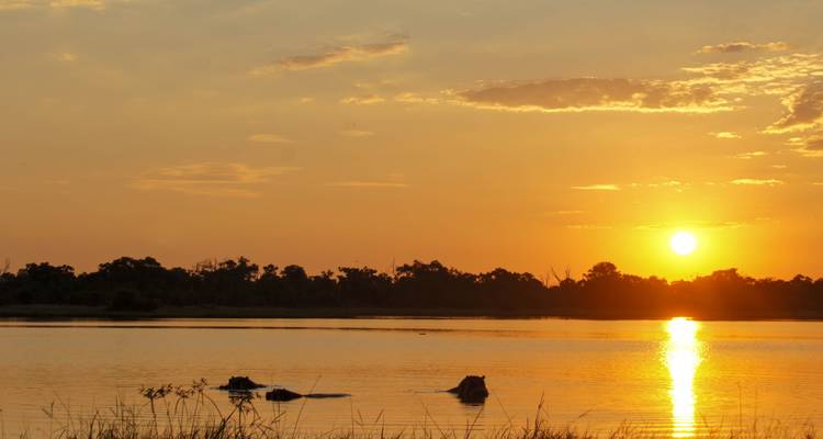 Faune et flore sauvages du Botswana - Exodus Adventure Travels 5