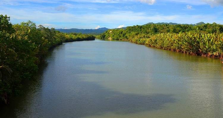 Une rivière tropicale calme serpente entre des rives verdoyantes densément boisées vers des montagnes lointaines sous un ciel bleu.