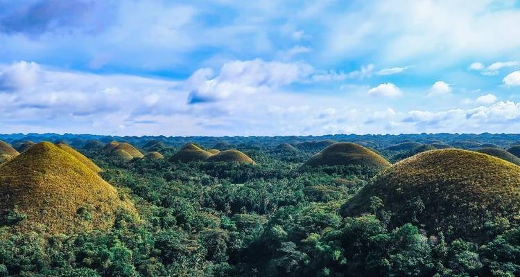 Des dizaines de collines de chocolat arrondies s'élèvent de la jungle dense sous un ciel bleu éclatant à Bohol.