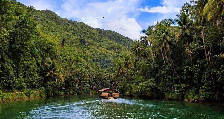 Un bateau fluvial glisse à travers une gorge luxuriante bordée de palmiers aux eaux émeraude dans la jungle tropicale.