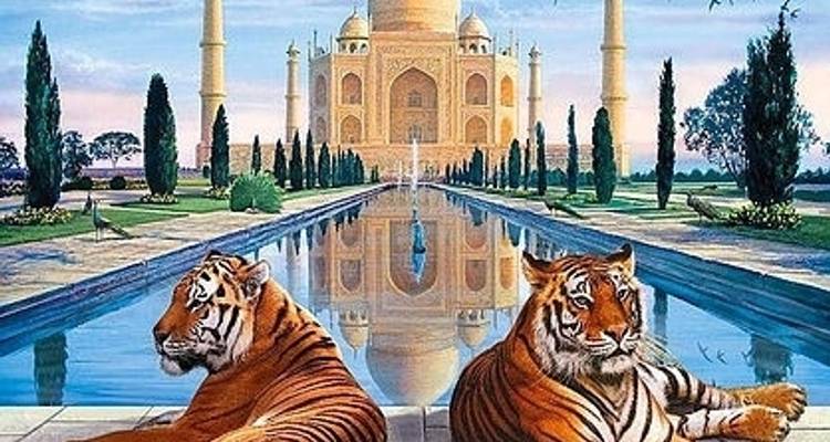 Circuit du Triangle d'Or en Inde avec Udaipur et safari animalier - Swastik India Journeys 2