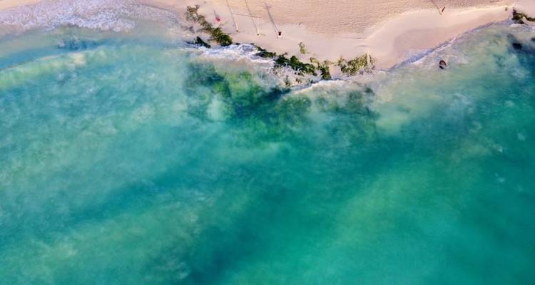 Vista aérea de un océano turquesa y una playa de arena.
