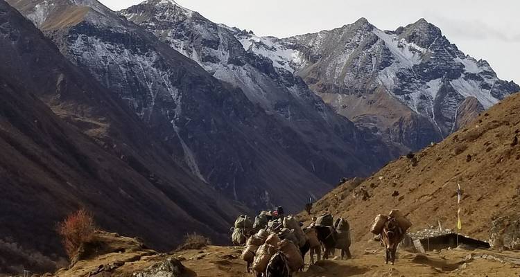 Druk Path - Voyage privé - OneSeed Expeditions 10