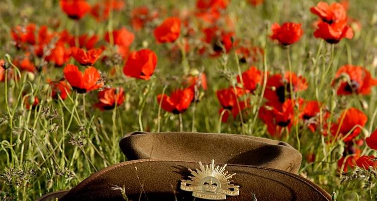 Excursión del día de Anzac - 8 días - Travel Talk 6