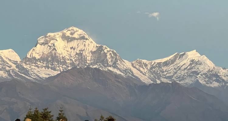 Des géants de l'Himalaya couverts de neige, dont le Dhaulagiri, se dressent majestueusement contre un ciel aux teintes pastel.
