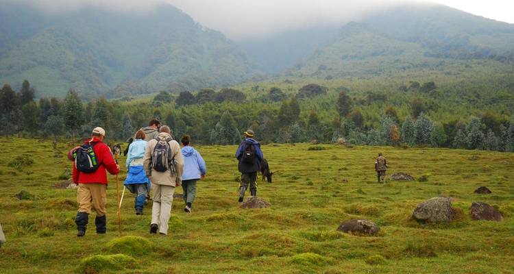 Nairobi To Kigali (13 Days) Gorillas & Gameparks - Oasis Overland 8